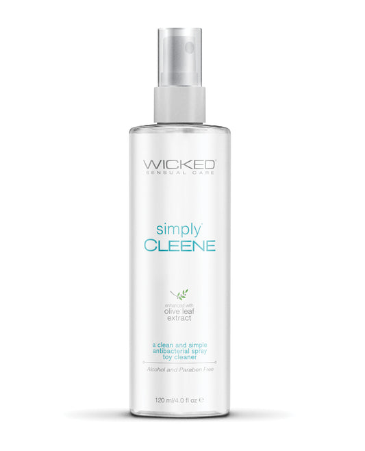 Simply Clean Toy Cleaner